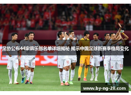 足协公布44家俱乐部名单详细揭秘 揭示中国足球新赛季格局变化
