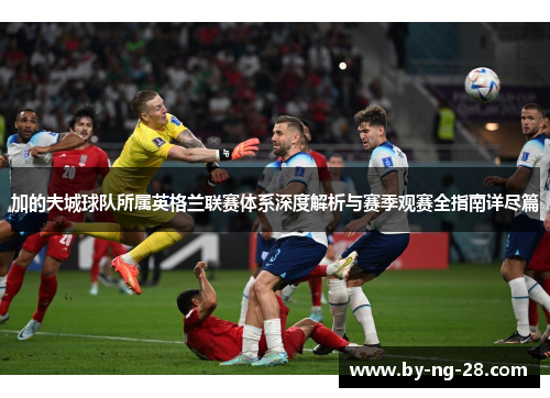 加的夫城球队所属英格兰联赛体系深度解析与赛季观赛全指南详尽篇