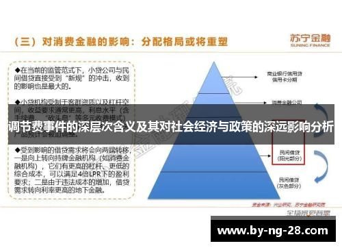 调节费事件的深层次含义及其对社会经济与政策的深远影响分析