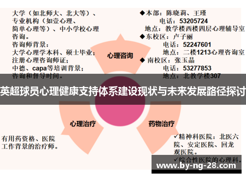 英超球员心理健康支持体系建设现状与未来发展路径探讨