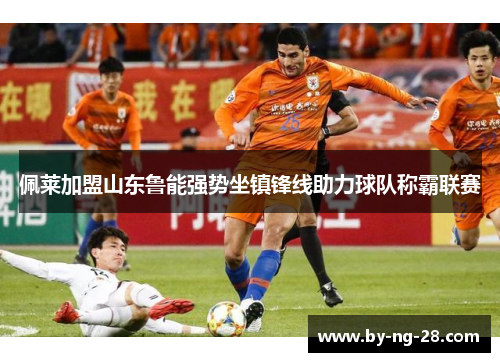 佩莱加盟山东鲁能强势坐镇锋线助力球队称霸联赛 佩莱加盟山东鲁能强势坐镇锋线助力球队称霸联赛