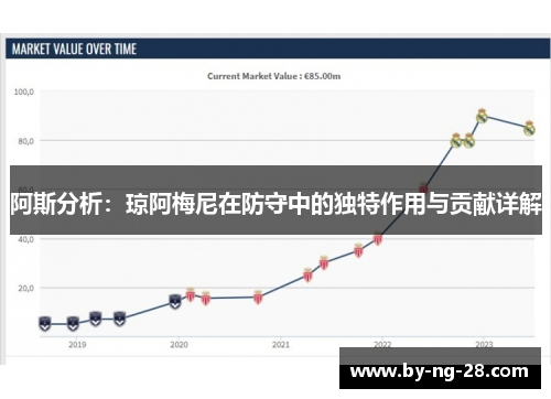 阿斯分析：琼阿梅尼在防守中的独特作用与贡献详解
